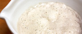 Amish Friendship Bread Starter Recipe | www.friendshipbreadkitchen.com
