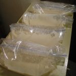 Amish Friendship Bread Starter Bags Veronica Gantley