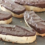 Chocolate Dipped Coconut Walnut Amish Friendship Bread Biscotti