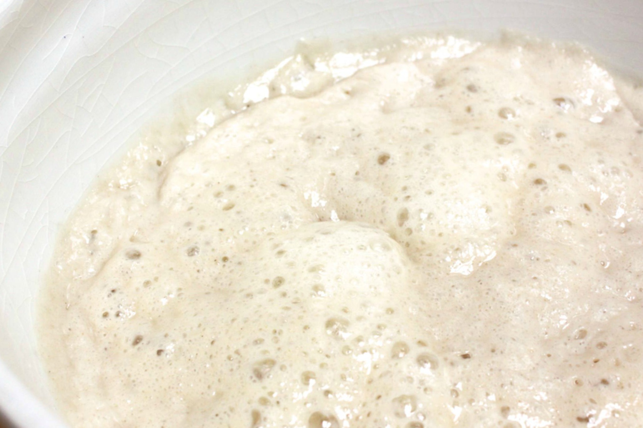 Bubbly Amish Friendship Bread Starter in a ceramic bowl.