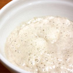 Amish Friendship Bread Starter Recipe | www.friendshipbreadkitchen.com
