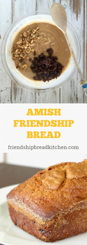 original amish friendship bread pin