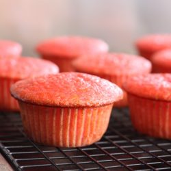 Cherry Jell-O Amish Friendship Bread Cupcakes