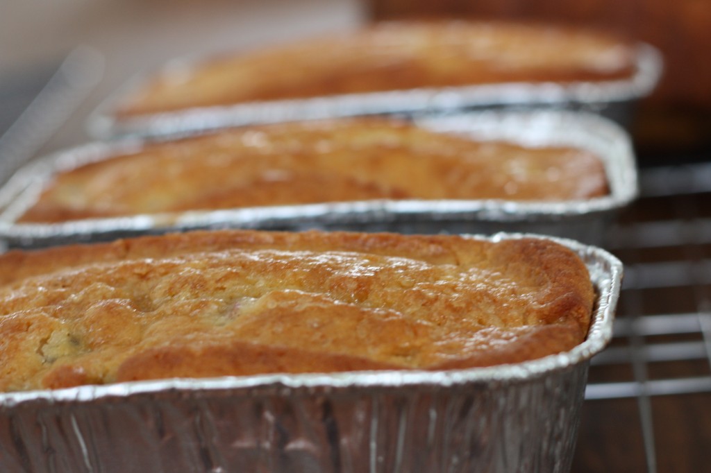 Rhubarb Amish Friendship Bread ♥ friendshipbreadkitchen.com