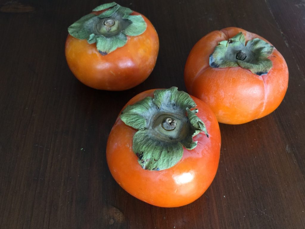 Fresh Persimmons for Persimmon Spice Amish Friendship Bread ♥ friendshipbreadkitchen.com