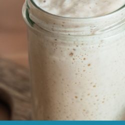 original amish friendship bread starter in a glass jar