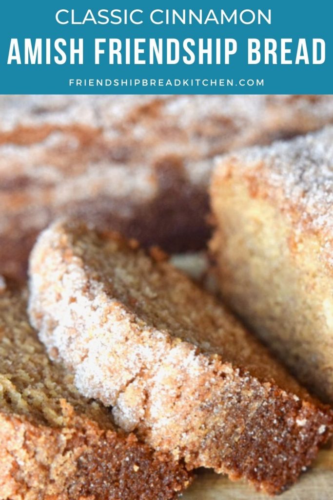 close-up of the original amish friendship bread recipe