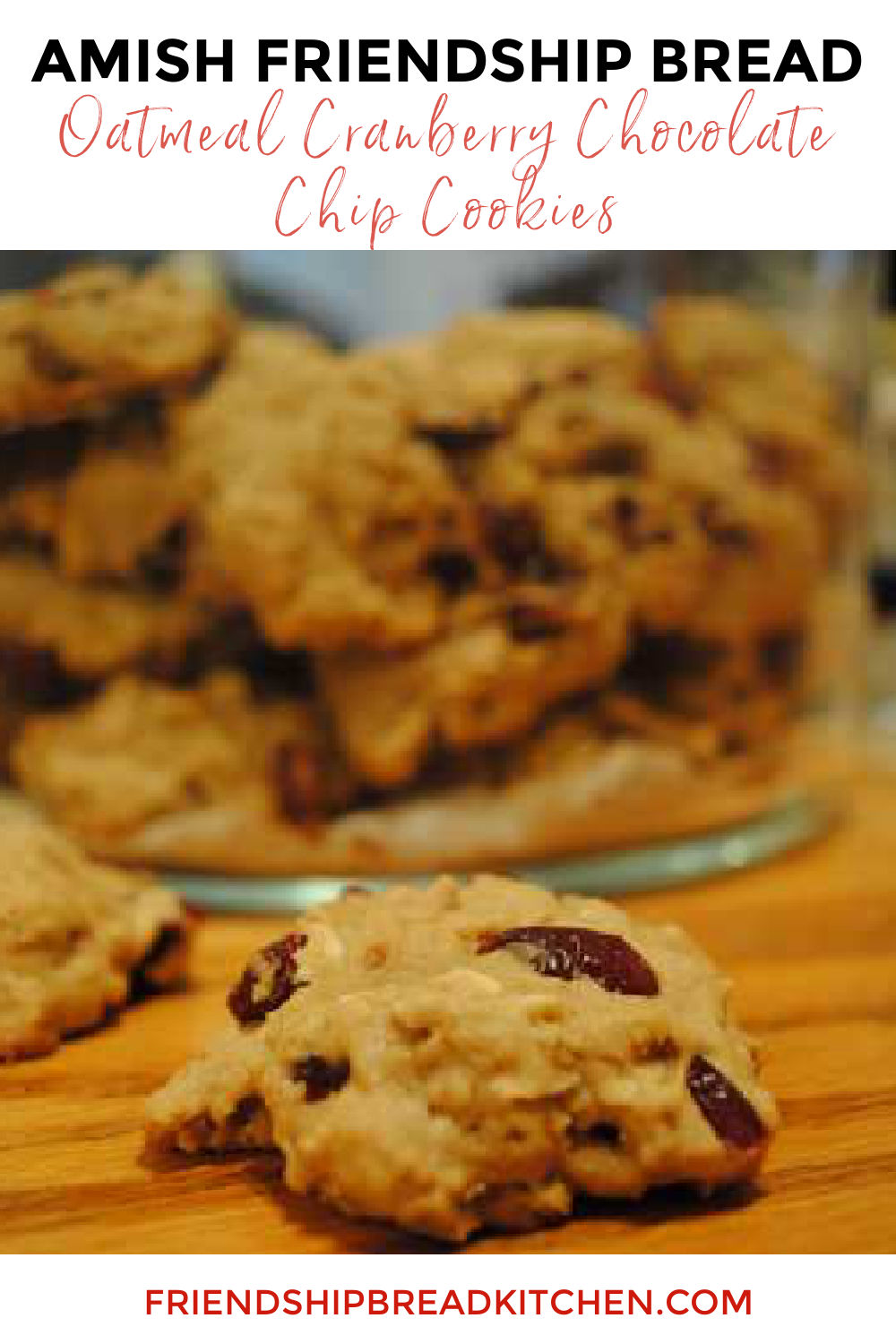 Amish Friendship Bread Oatmeal Cranberry Cookies