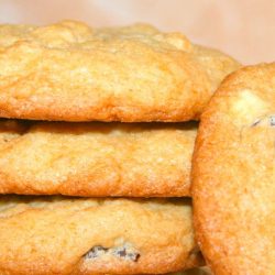 Amish Friendship Bread Chocolate Chip Cookies