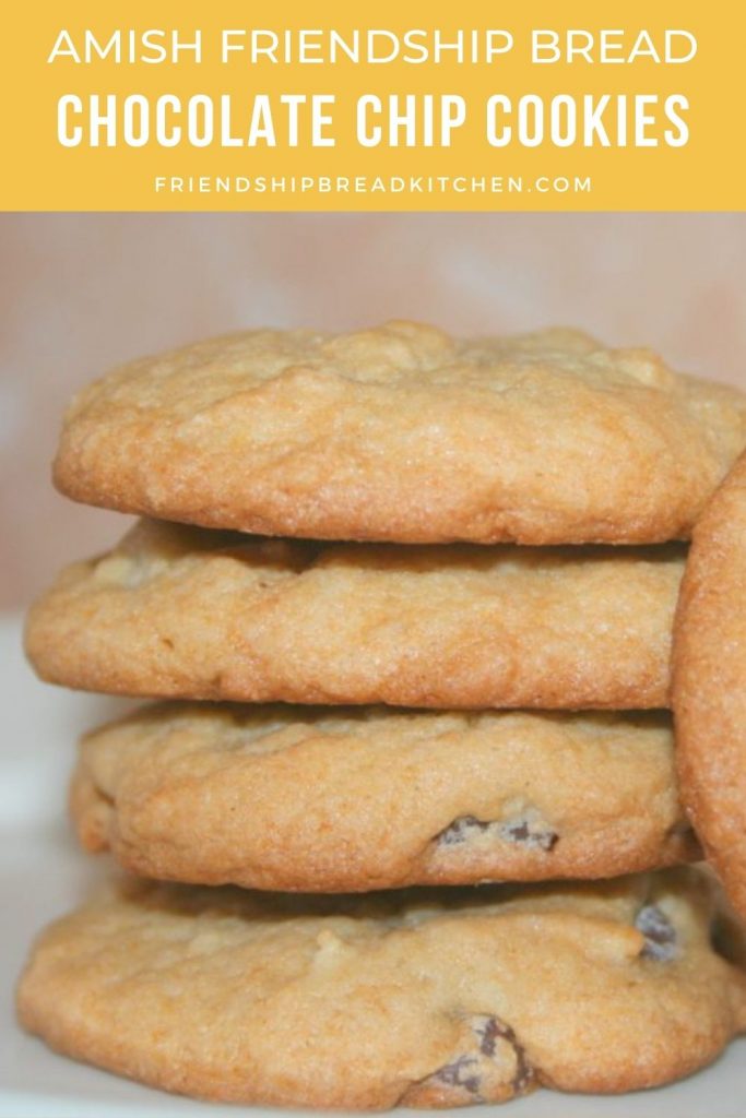 stack of chocolate chip cookies