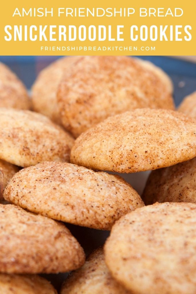 pile of snickerdoodle cookies