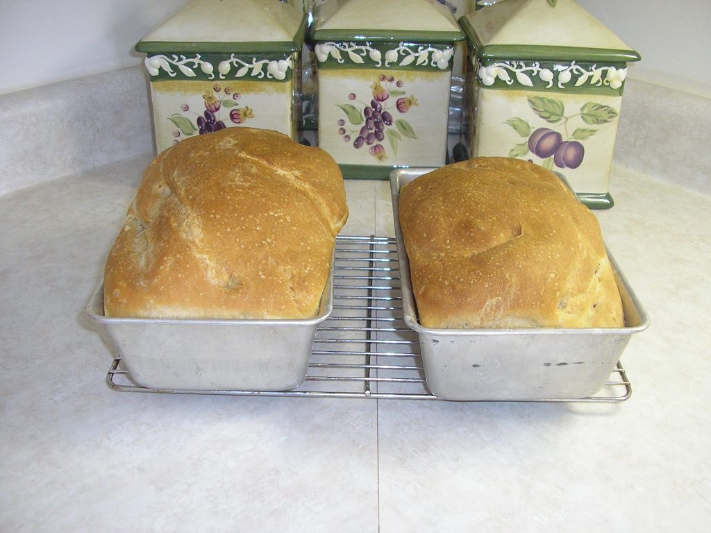 Rustic Sourdough Amish Friendship Bread image by Cheryl Olson ♥ friendshipbreadkitchen.com