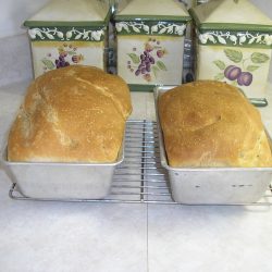 Rustic Sourdough Amish Friendship Bread