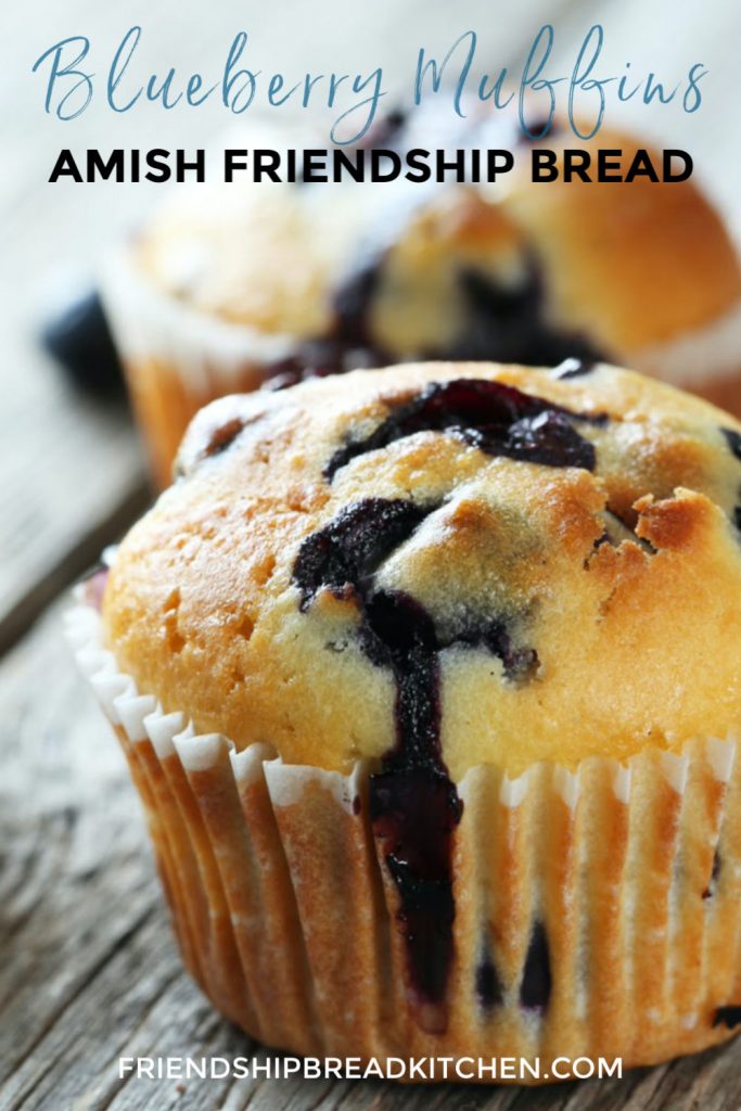 Blueberry Amish Friendship Bread Muffins on a wooden table