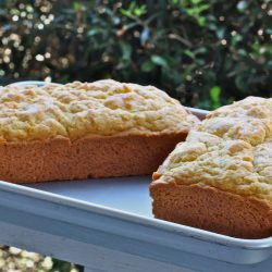 Amish Friendship Bread (Low Sugar)