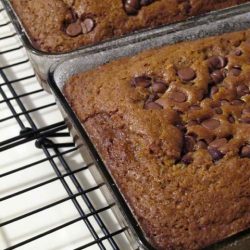 Pistachio, Fresh Basil and Chocolate Amish Friendship Bread