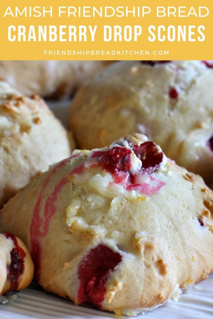 cranberry amish friendship bread drop scones