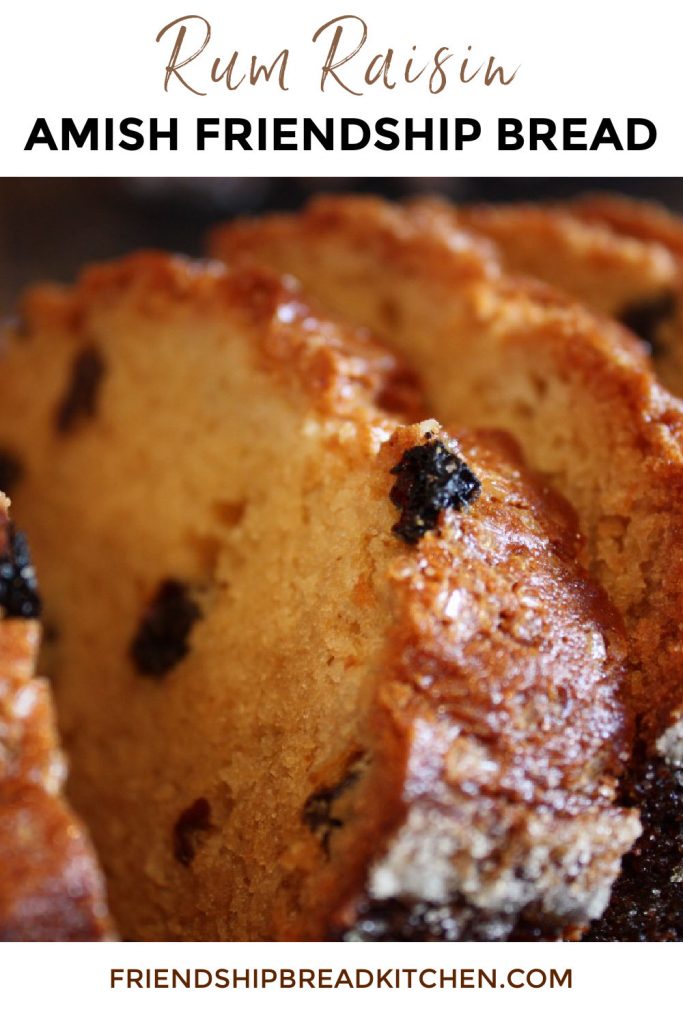 Rum Raisin Amish Friendship Bread-2