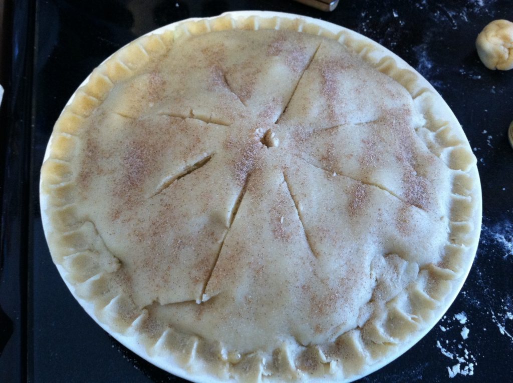 Amish Friendship Bread Pie Crust Recipe by Jennifer Werth | www.friendsihpbreadkitchen.com