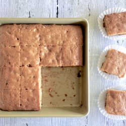 Ready to eat Amish Friendship Bread Blondies