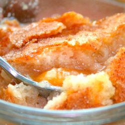 Amish Friendship Bread Peach Cobbler