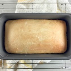 Potato Flake Amish Friendship Bread and Rolls
