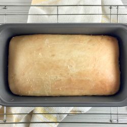 Potato Flake Amish Friendship Bread | friendshipbreadkitchen.com