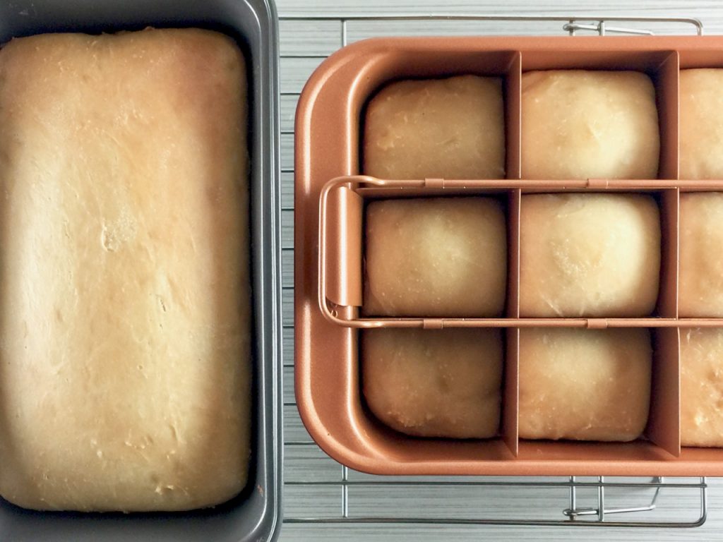 Potato Flake Amish Friendship Bread + Rolls | friendshipbreadkitchen.com