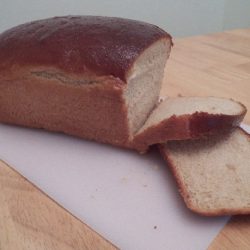 Whole Wheat Amish Friendship Bread