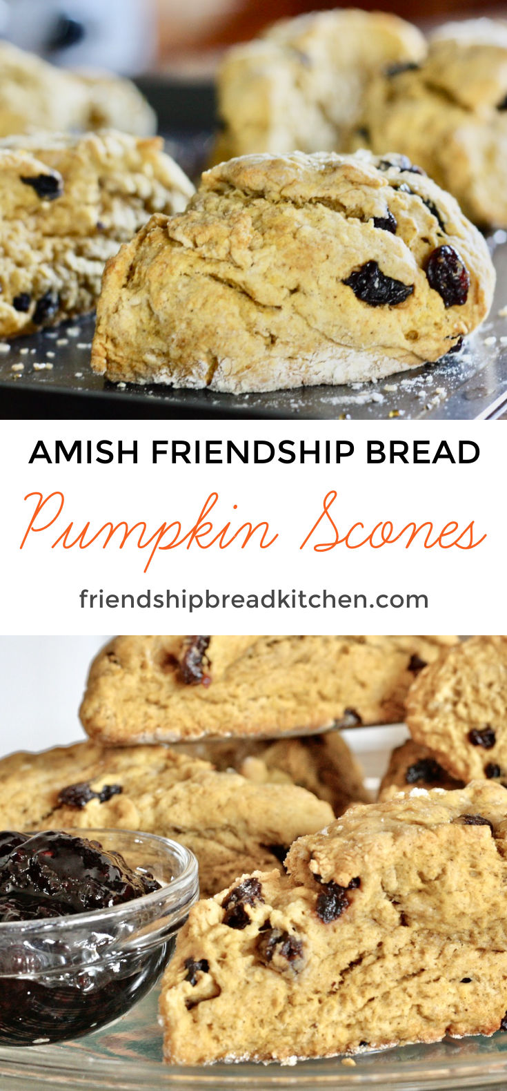 Pumpkin Amish Friendship Bread Scones