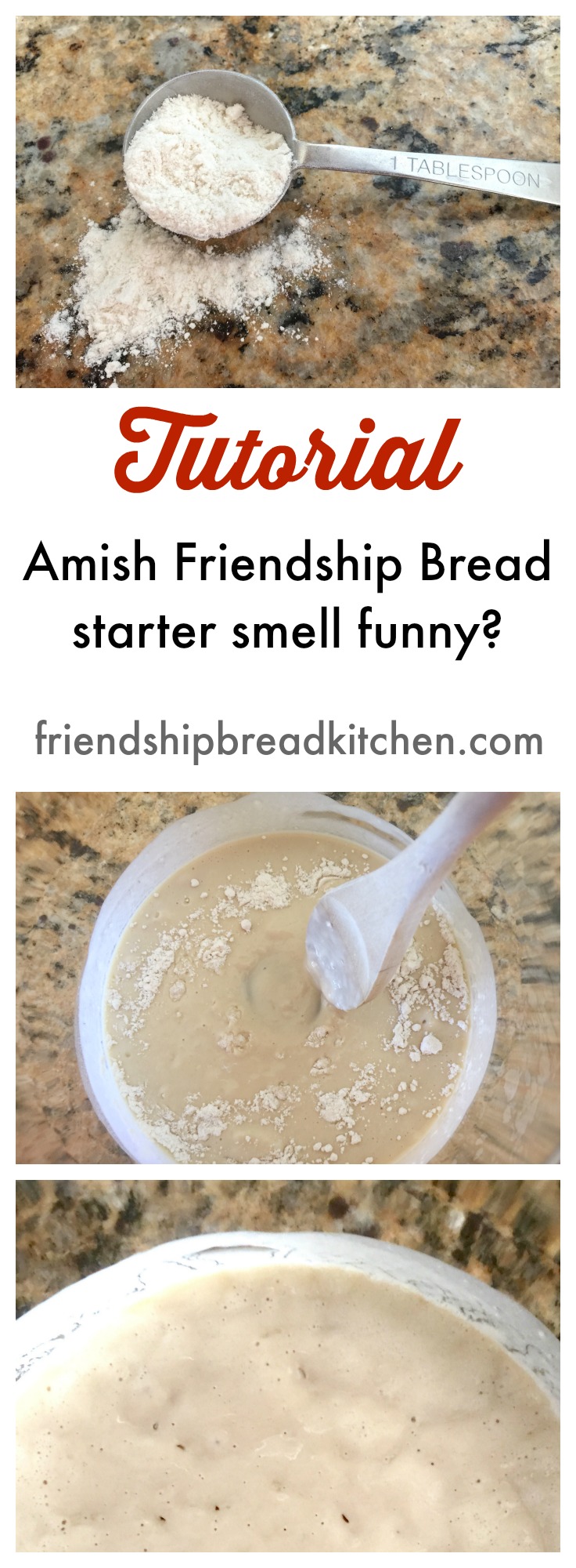 Amish Friendship Bread Starter Tutorial ♥ friendshipbreadkitchen.com