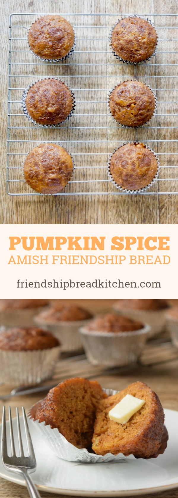 Pumpkin Spice Amish Friendship Bread