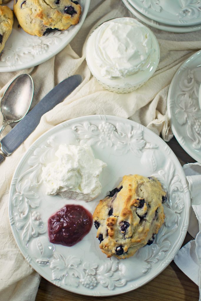 Blueberry Lemon Ricotta Amish Friendship Bread Scones by Stacey Doyle | friendshipbreadkitchen.com