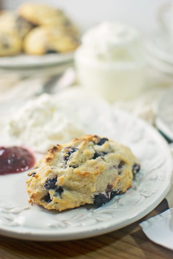 Blueberry Lemon Ricotta Amish Friendship Bread Scones by Stacey Doyle | friendshipbreadkitchen.com