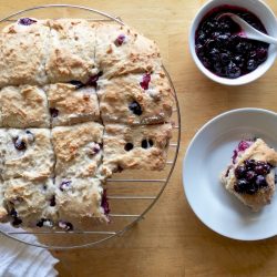 Blueberry Cream Amish Friendship Bread Biscuits | friendshipbreadkitchen.com