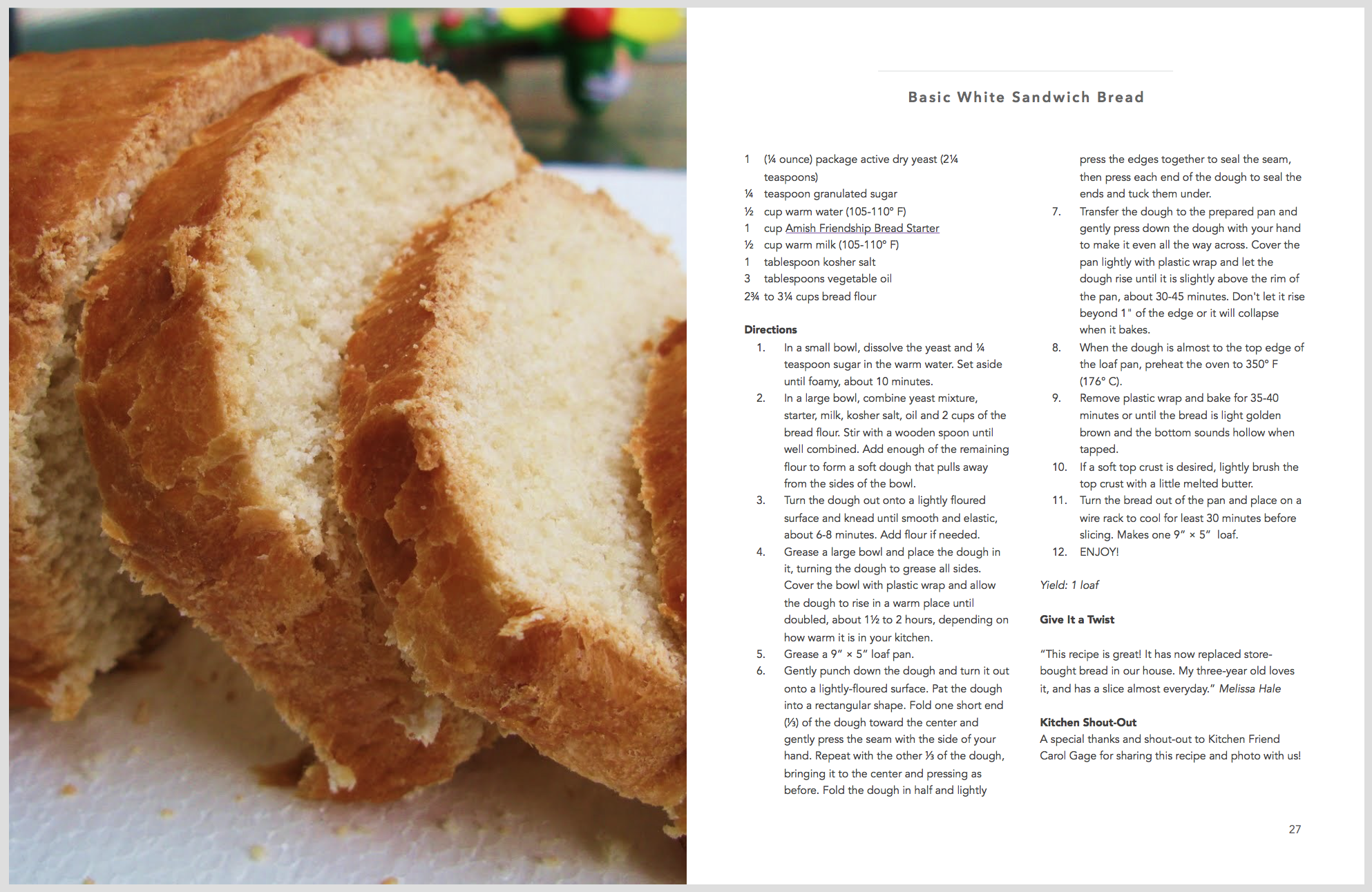 Amish Friendship Bread with a Twist Cookbook Sample 1 Friendship