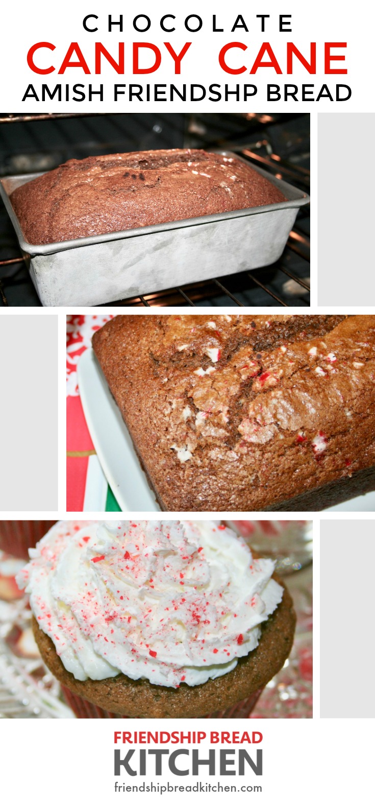 Chocolate Candy Cane Amish Friendship Bread | friendshipbreadkitchen.com