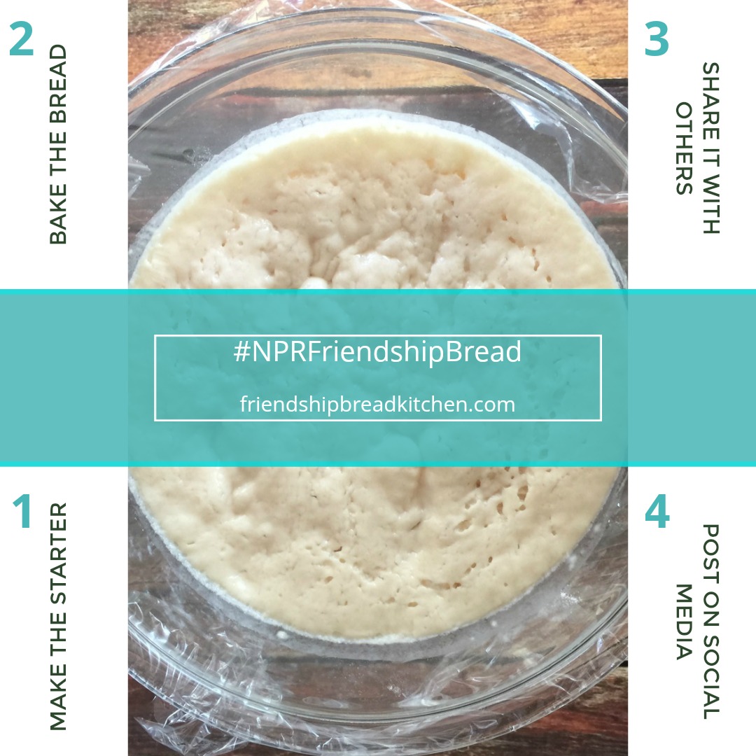 NPR Friendship Bread Project | friendshipbreadkitchen.com