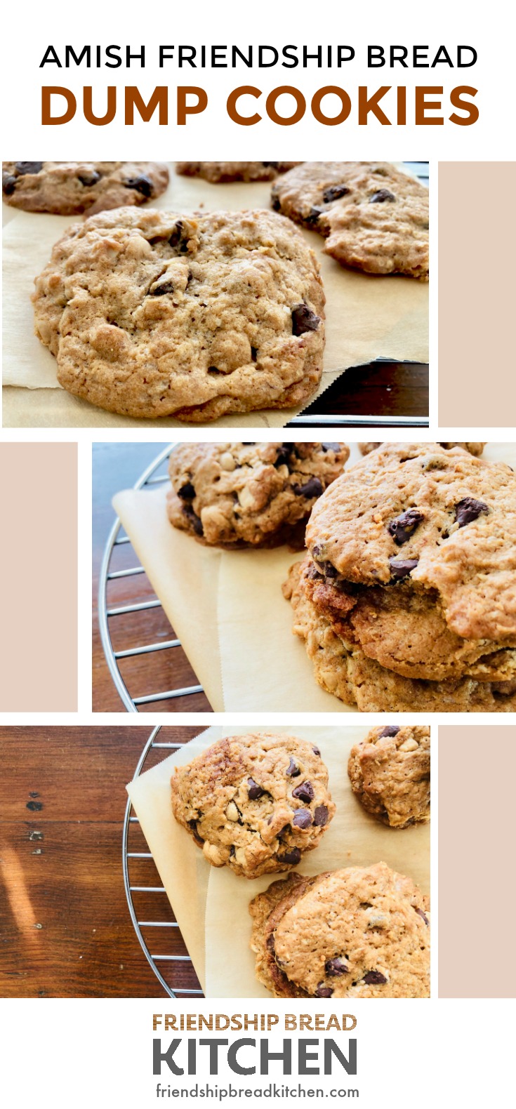 Amish Friendship Bread dump cookies collage