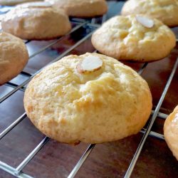 Amish Friendship Bread Chinese Almond Cookies