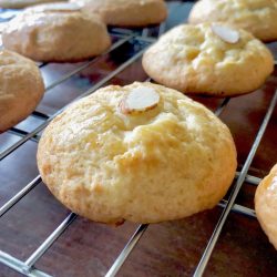 Amish Friendship Bread Chinese Almond Cookies | friendshipbreadkitchen.com