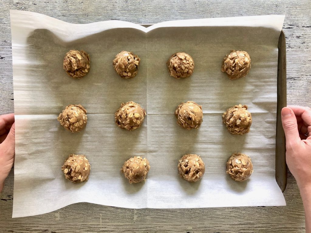 Amish Friendship Bread Oatmeal Raisin Cookies