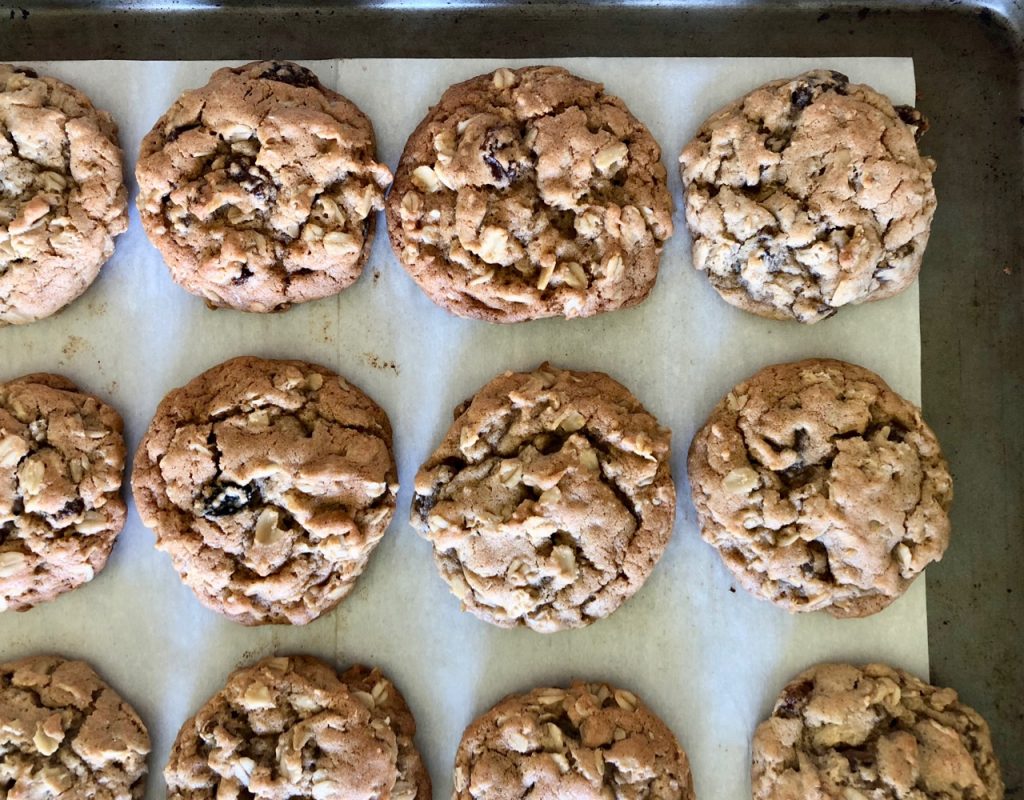 Amish Friendship Bread Oatmeal Raisin Cookies