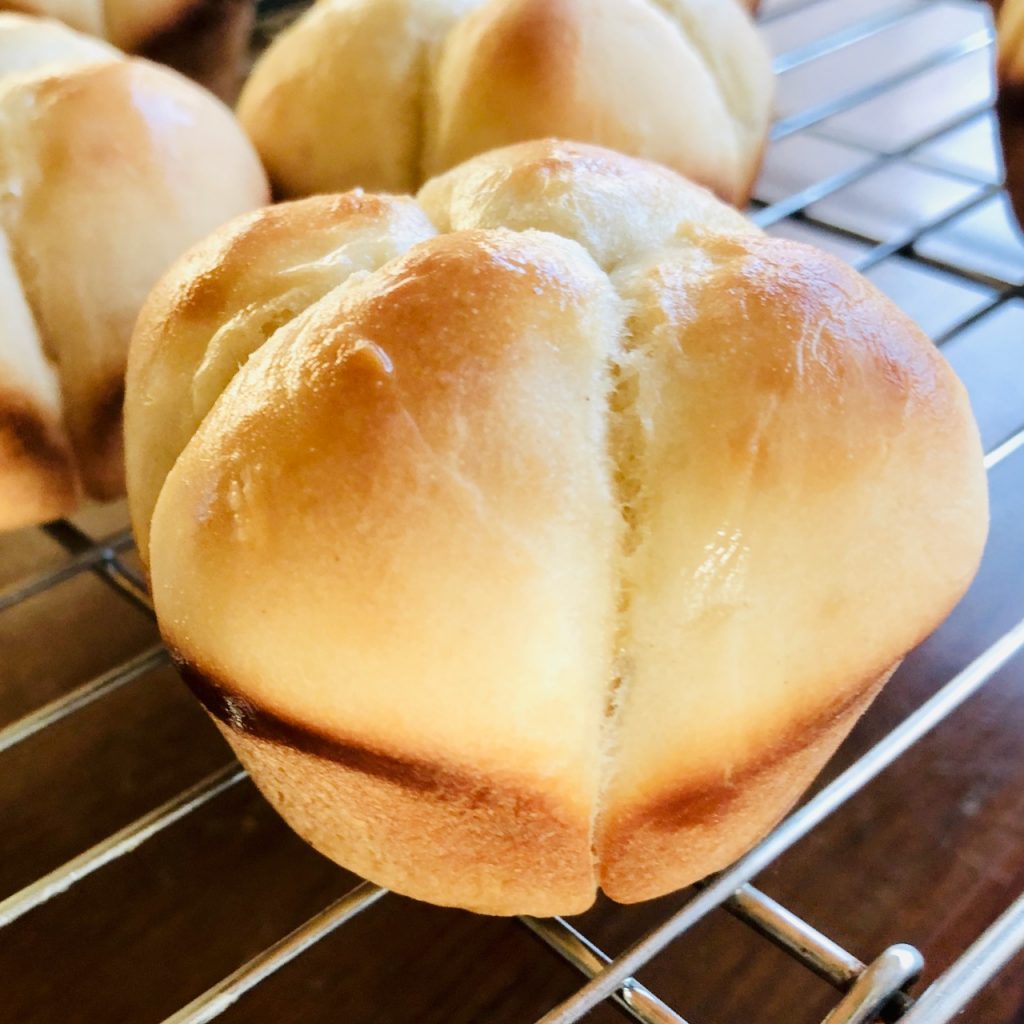 Amish Friendship Bread Cloverleaf Dinner Rolls