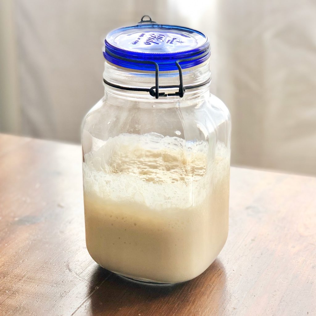 Amish Friendship Bread Starter in a jar