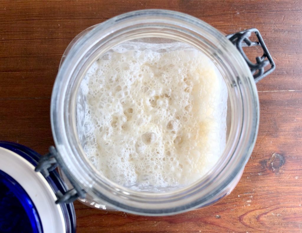 A bubbly Amish Friendship Bread Starter