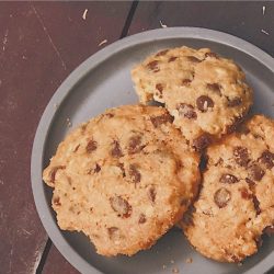 Amish Friendship Bread Molasses Chocolate Chip Oatmeal Cookies