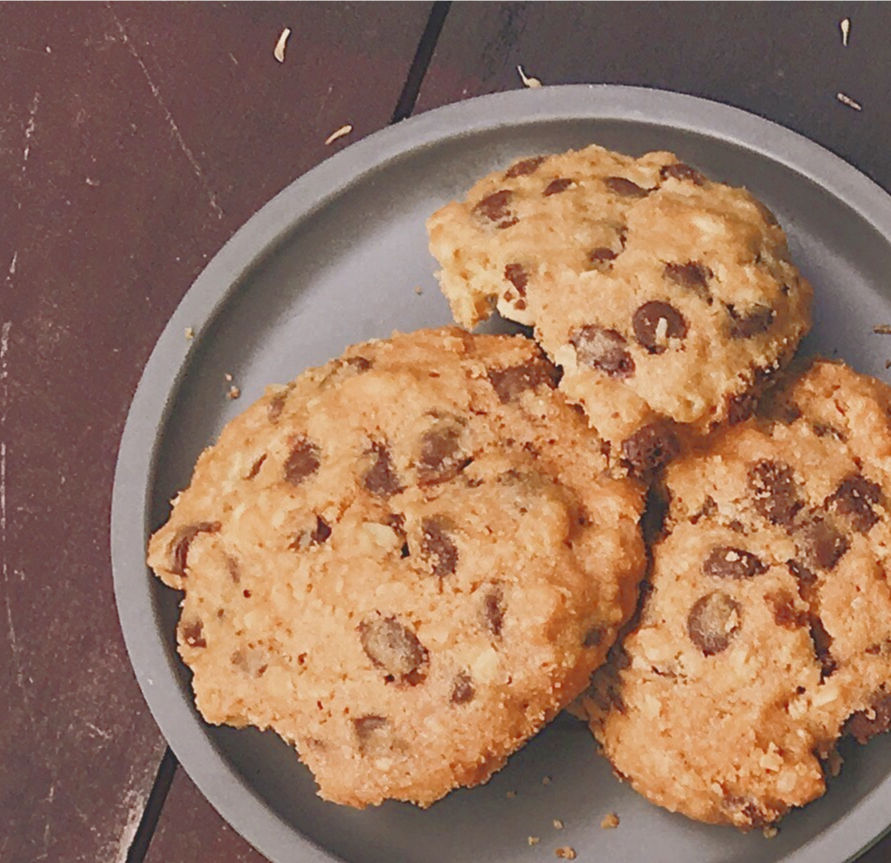 Amish Friendship Bread Molasses Chocolate Chip Oatmeal Cookies