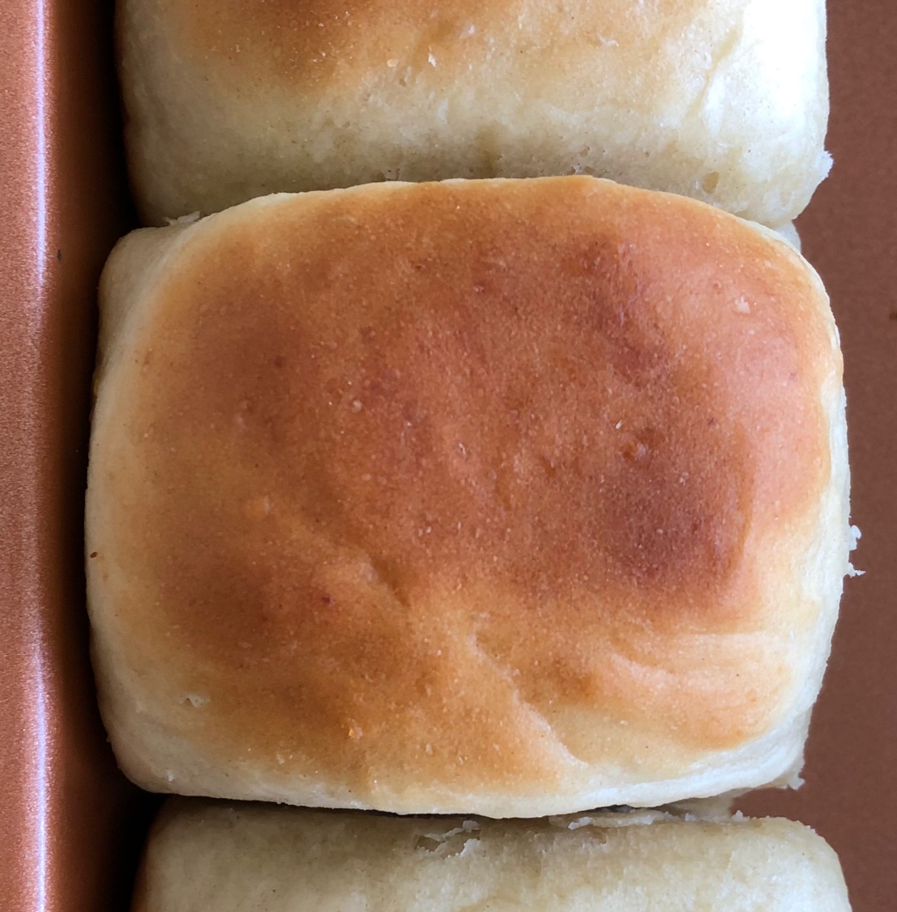 Amish Friendship Bread 30-Minute Dinner Rolls