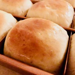 Amish Friendship Bread 30-Minute Rolls